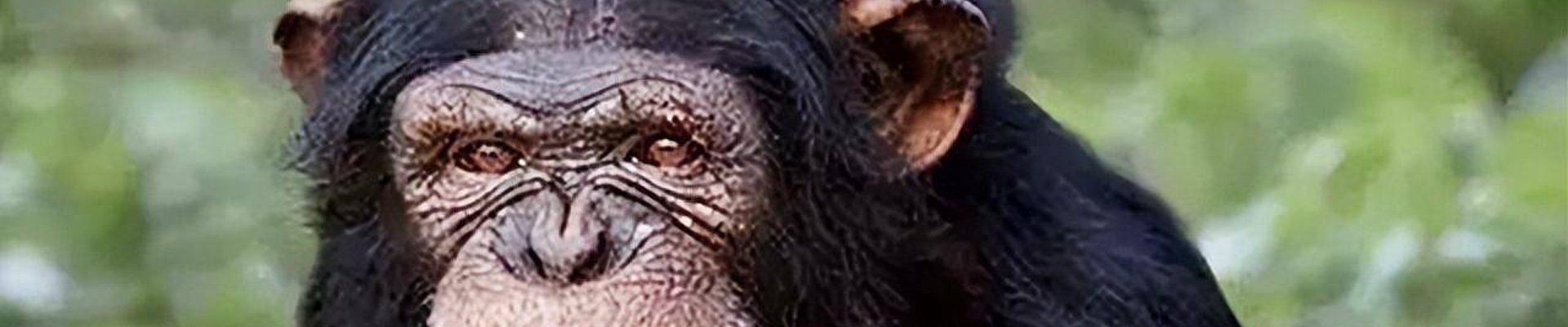 满冠体育官方中文网站(ManGuan)-平台网址入口